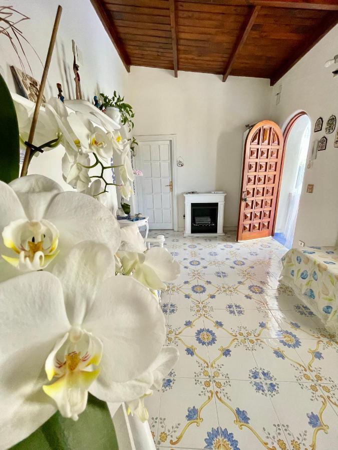 Bed and Breakfast La Bicocca Di Annavi Forio di Ischia Exterior foto